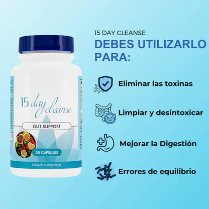 Limpieza Interna en 15 días